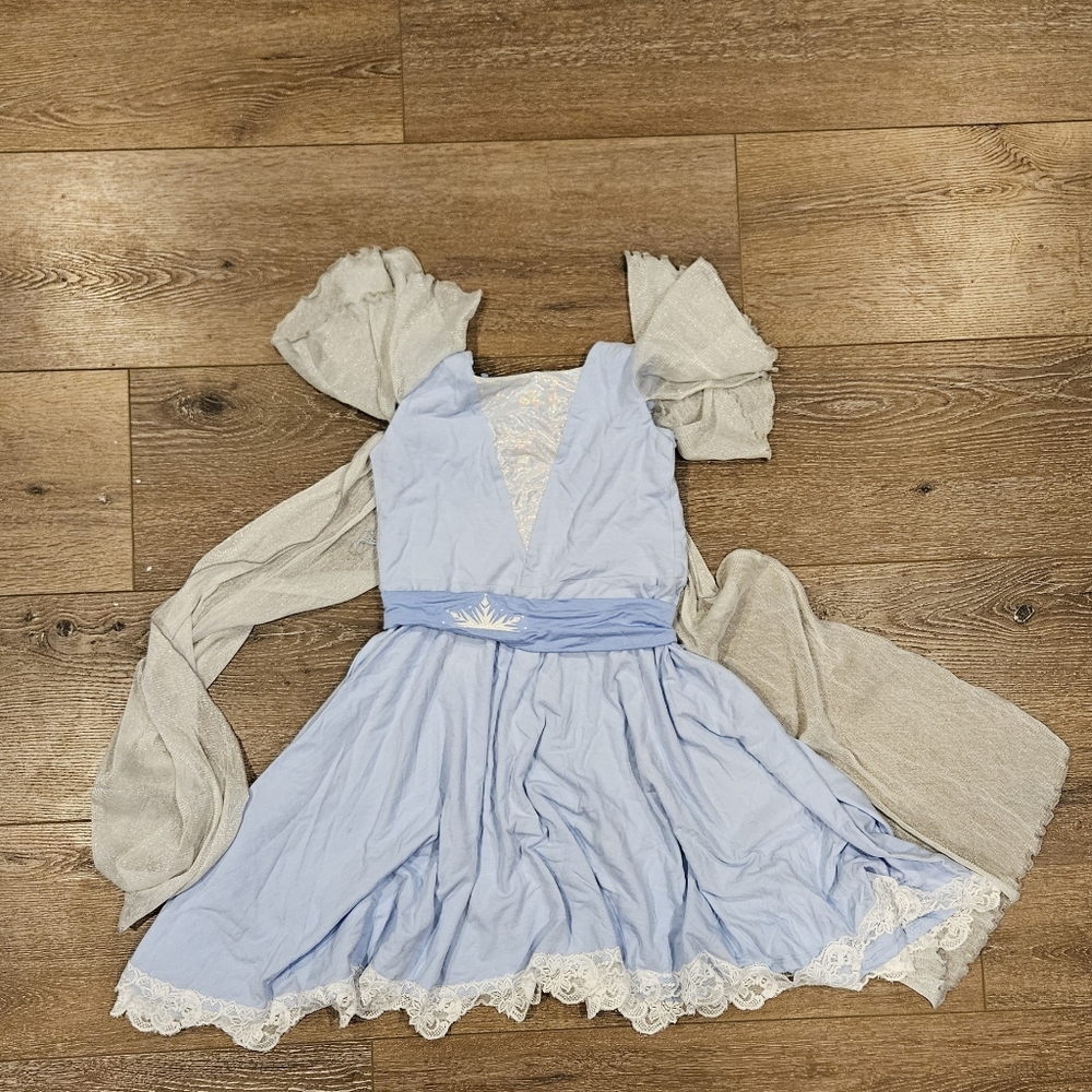 Placard Original Frozen Elsa Dress
